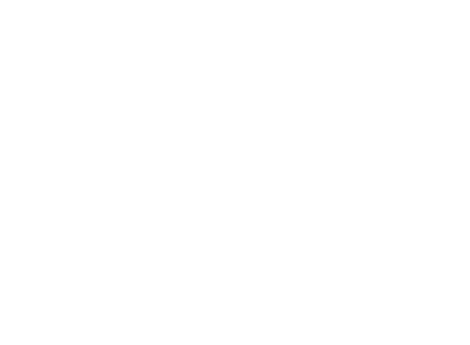 Kic Logo bianco